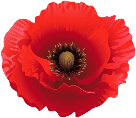 cartoon poppy|free poppy clip art images.